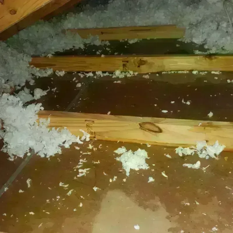 Attic Water Damage in Rocky Point, NY