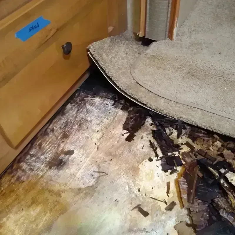 Best Wood Floor Water Damage Service in Rocky Point, NY